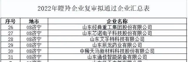 濟(jì)寧市上榜2022年度山東省“瞪羚”“獨(dú)角獸”企業(yè)名單