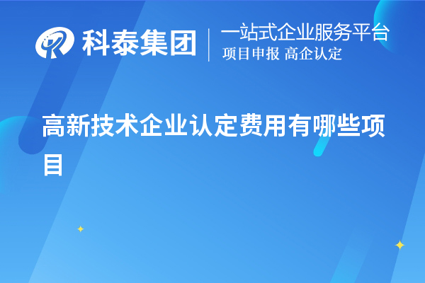 高新技術(shù)企業(yè)認(rèn)定費(fèi)用有哪些項(xiàng)目