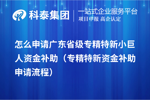 怎么申請(qǐng)廣東省級(jí)專精特新小巨人資金補(bǔ)助（專精特新資金補(bǔ)助申請(qǐng)流程）