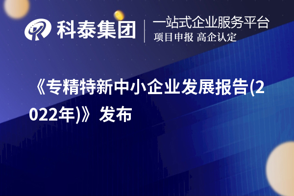 《專精特新中小企業(yè)發(fā)展報(bào)告(2022年)》發(fā)布