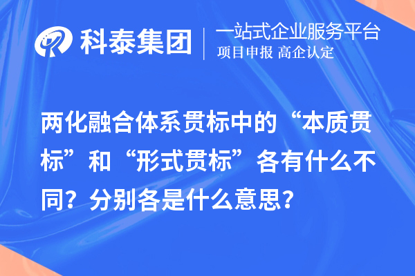 兩化融合體系貫標中的“本質(zhì)貫標”和“形式貫標”各有什么不同？分別各是什么意思？