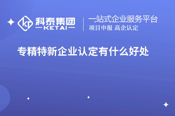 專(zhuān)精特新企業(yè)認定有什么好處