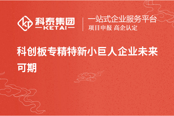 科創(chuàng)板專精特新小巨人企業(yè)未來(lái)可期