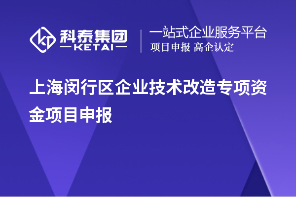 上海閔行區企業(yè)技術(shù)改造專(zhuān)項資金項目申報