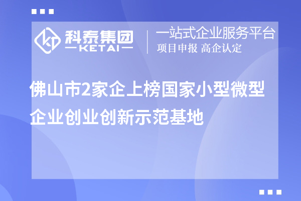 佛山市2家企上榜國家小型微型企業(yè)創(chuàng  )業(yè)創(chuàng  )新示范基地