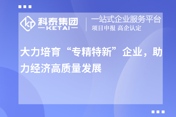 大力培育“專精特新”企業(yè)，助力經(jīng)濟高質(zhì)量發(fā)展