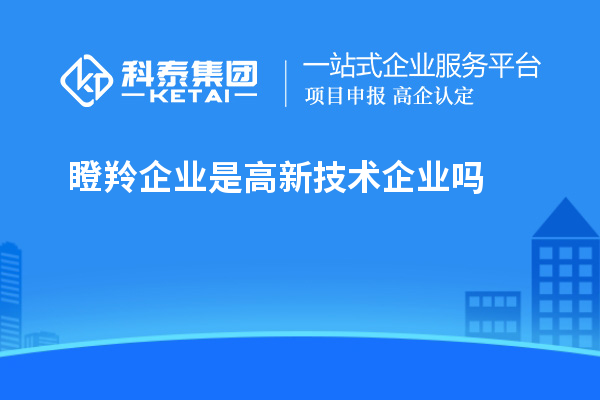 瞪羚企業(yè)是高新技術(shù)企業(yè)嗎