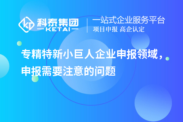 專精特新小巨人企業(yè)申報領域，申報需要注意的問題