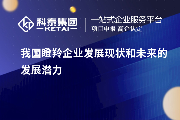 我國瞪羚企業(yè)發(fā)展現狀和未來(lái)的發(fā)展潛力