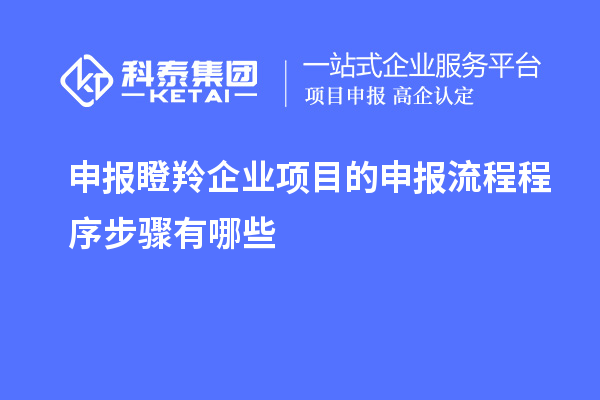 申報瞪羚企業(yè)項目的申報流程程序步驟有哪些