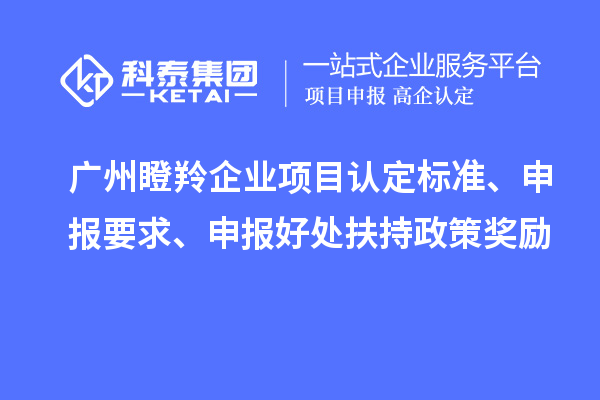 廣州瞪羚企業(yè)項(xiàng)目認(rèn)定標(biāo)準(zhǔn)、申報(bào)要求、申報(bào)好處扶持政策獎(jiǎng)勵(lì)