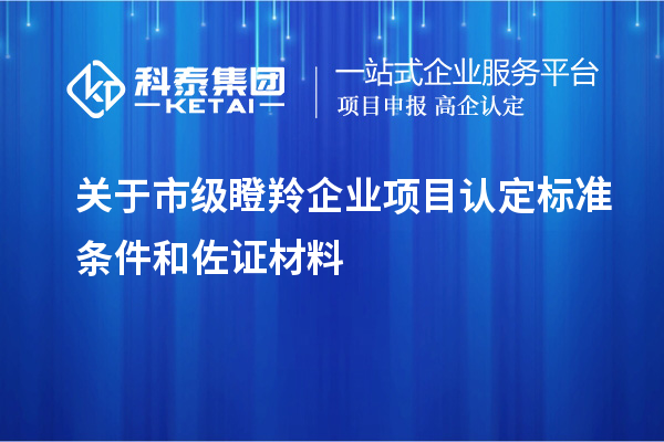 關(guān)于市級瞪羚企業(yè)項(xiàng)目認(rèn)定標(biāo)準(zhǔn)條件和佐證材料