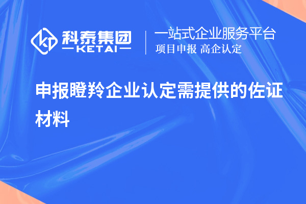 申報(bào)瞪羚企業(yè)認(rèn)定需提供的佐證材料