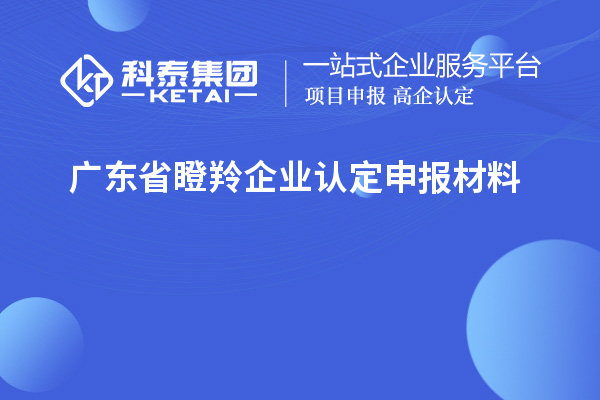 廣東省瞪羚企業(yè)認(rèn)定申報(bào)材料