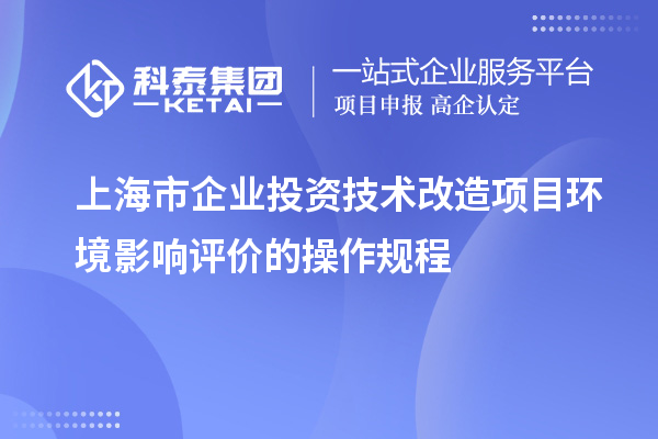 上海市企業(yè)投資技術(shù)改造項(xiàng)目環(huán)境影響評價的操作規(guī)程