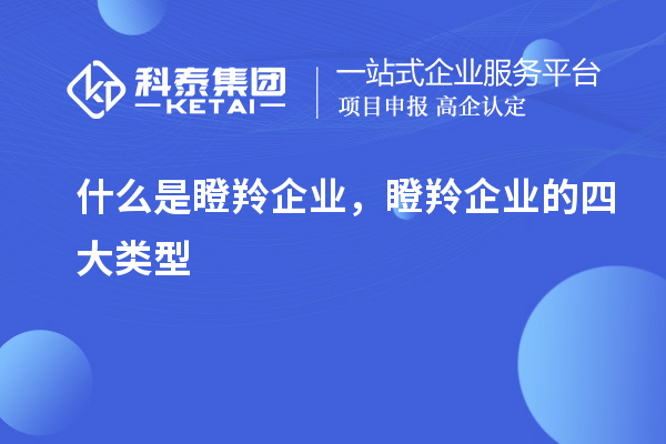 什么是瞪羚企業(yè)，瞪羚企業(yè)的四大類(lèi)型