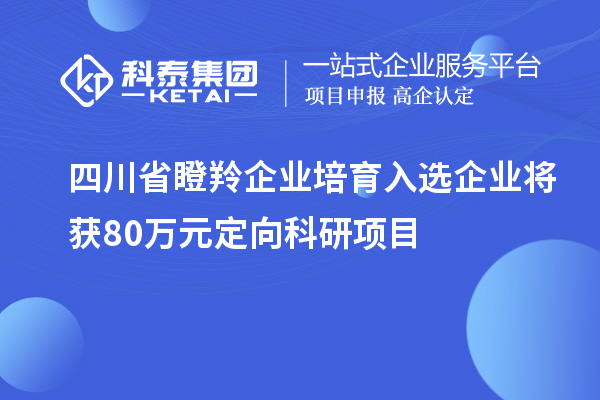 四川省瞪羚企業(yè)培育入選企業(yè)將獲80萬(wàn)元定向科研項目