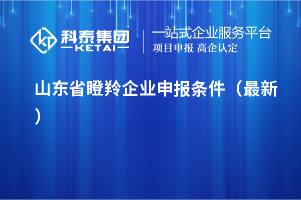 山東省瞪羚企業(yè)申報(bào)條件（最新）