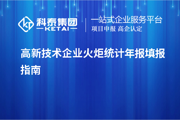 高新技術(shù)企業(yè)火炬統計年報填報指南