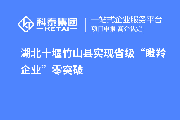 湖北十堰竹山縣實(shí)現省級“瞪羚企業(yè)”零突破