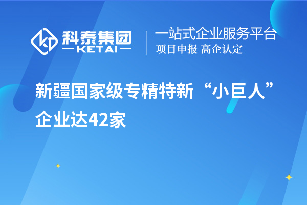 新疆國家級專(zhuān)精特新“小巨人”企業(yè)達42家