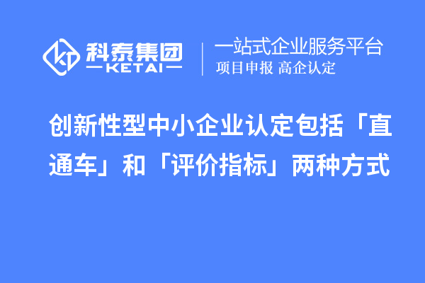 創(chuàng)新性型中小企業(yè)認(rèn)定包括「直通車」和「評價指標(biāo)」兩種方式