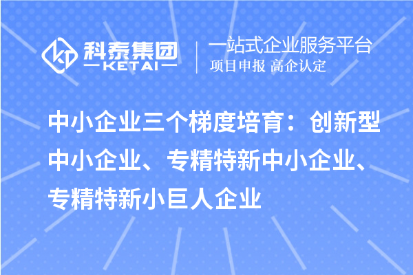 中小企業(yè)三個梯度培育：創(chuàng)新型中小企業(yè)、專精特新中小企業(yè)、專精特新小巨人企業(yè)