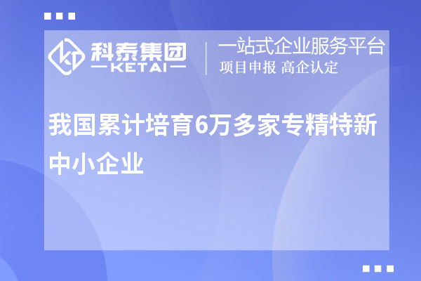 我國累計培育6萬多家專精特新中小企業(yè)