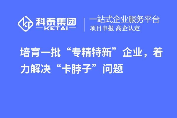 培育一批“專精特新”企業(yè)，著力解決“卡脖子”問(wèn)題