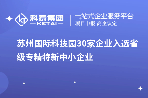 蘇州國際科技園30家企業(yè)入選省級專精特新中小企業(yè)