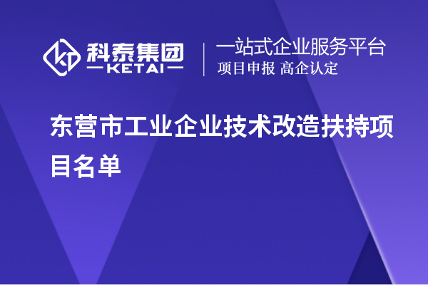 東營(yíng)市工業(yè)企業(yè)技術(shù)改造扶持項(xiàng)目名單