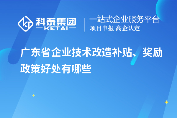 廣東省企業(yè)技術(shù)改造補貼、獎勵政策好處有哪些