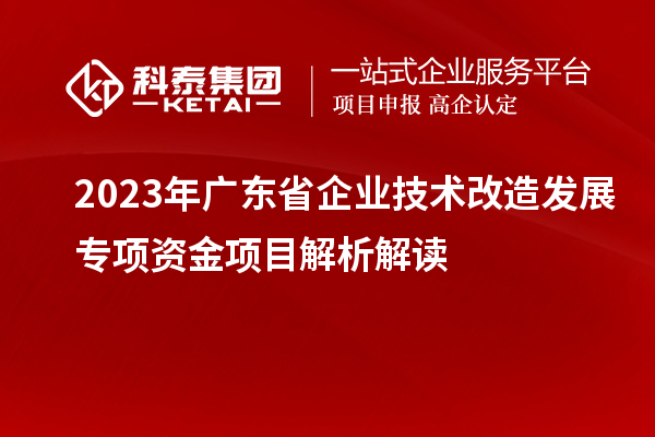 2023年廣東省企業(yè)技術(shù)改造發(fā)展專(zhuān)項資金項目解析解讀