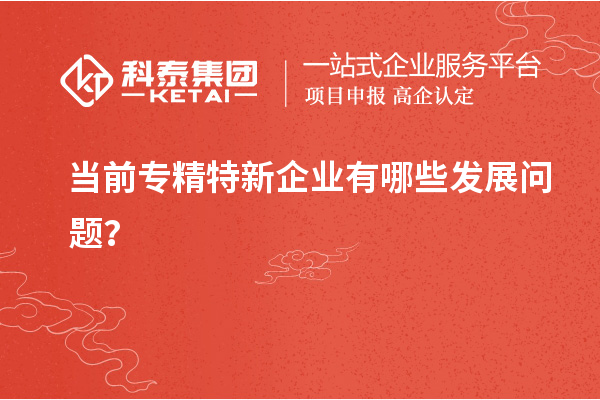 當前專精特新企業(yè)有哪些發(fā)展問題？