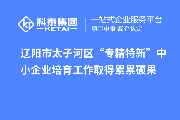 遼陽(yáng)市太子河區“專(zhuān)精特新”中小企業(yè)培育工作取得累累碩果