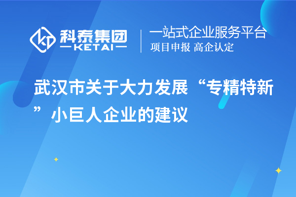 武漢市關(guān)于大力發(fā)展“專精特新”小巨人企業(yè)的建議