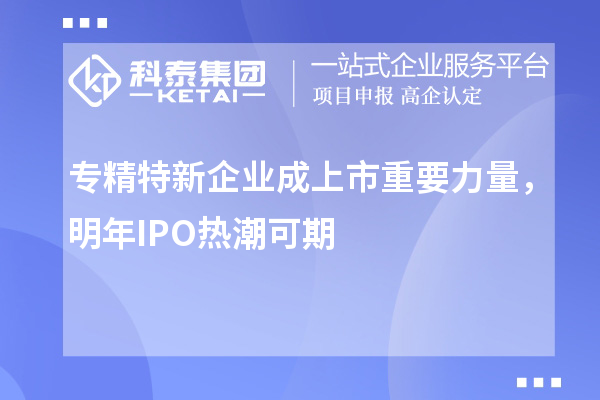 專(zhuān)精特新企業(yè)成上市重要力量，明年IPO熱潮可期