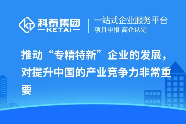 推動(dòng)“專精特新”企業(yè)的發(fā)展，對(duì)提升中國的產(chǎn)業(yè)競爭力非常重要