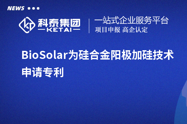 BioSolar為硅合金陽極加硅技術(shù)申請專利