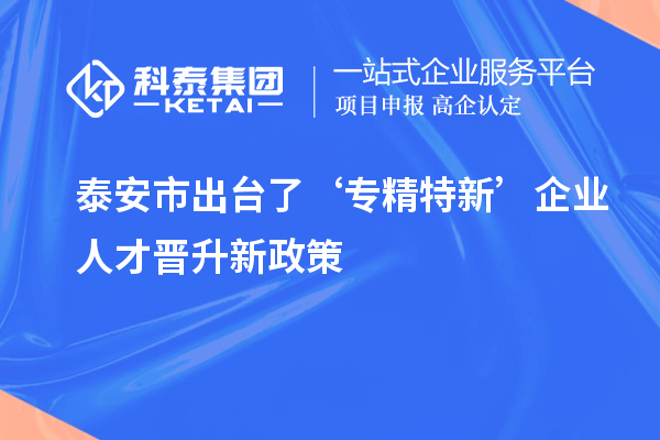 泰安市出臺了‘專精特新’企業(yè)人才晉升新政策