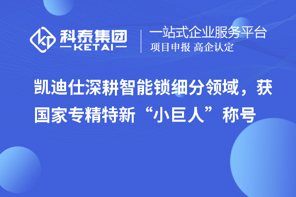 凱迪仕深耕智能鎖細分領(lǐng)域，獲國家專精特新“小巨人”稱號