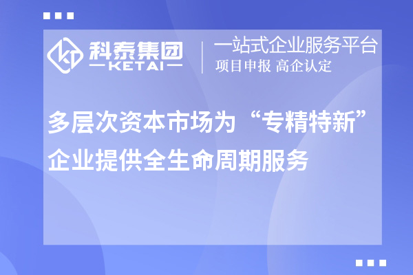 多層次資本市場(chǎng)為“專(zhuān)精特新”企業(yè)提供全生命周期服務(wù)