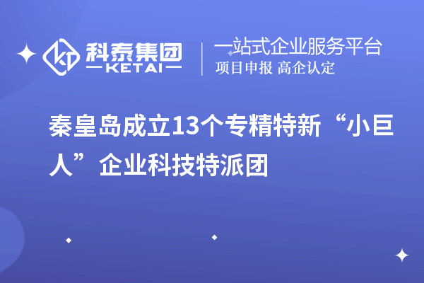 秦皇島成立13個專精特新“小巨人”企業(yè)科技特派團(tuán)