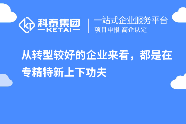 從轉(zhuǎn)型較好的企業(yè)來看，都是在專精特新上下功夫