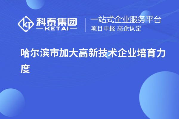 哈爾濱市加大高新技術(shù)企業(yè)培育力度