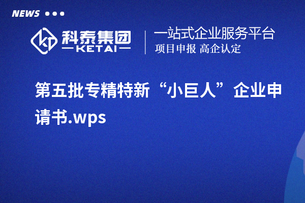 第五批專精特新“小巨人”企業(yè)申請書.wps