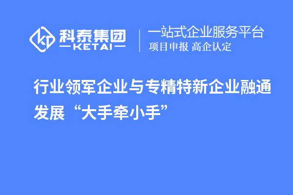 行業(yè)領(lǐng)軍企業(yè)與專精特新企業(yè)融通發(fā)展“大手牽小手”