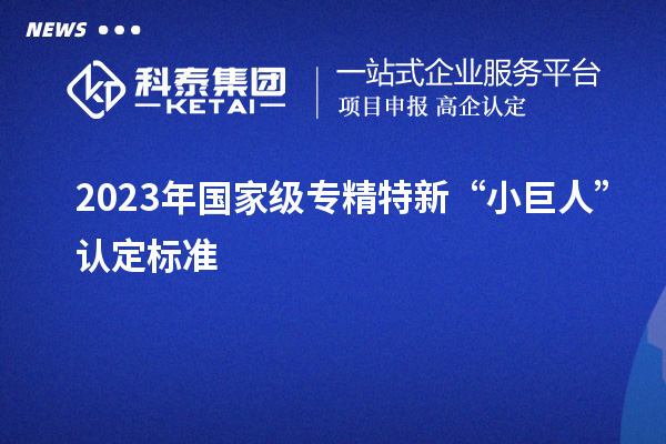 2023年國(guó)家級(jí)專(zhuān)精特新“小巨人”認(rèn)定標(biāo)準(zhǔn)