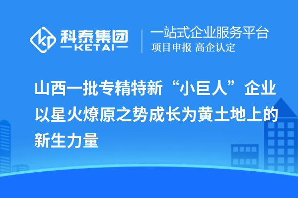 山西一批專精特新“小巨人”企業(yè)以星火燎原之勢(shì)成長(zhǎng)為黃土地上的新生力量