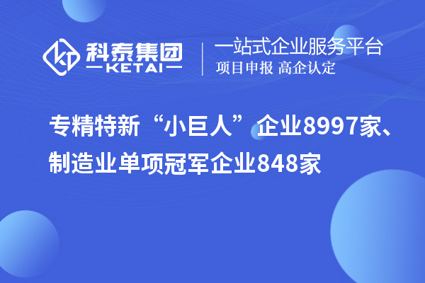 專(zhuān)精特新“小巨人”企業(yè)8997家、制造業(yè)單項冠軍企業(yè)848家